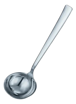 Rosle Soeplepel Rösle Keuken VS600 Zilver 30,5 cm New