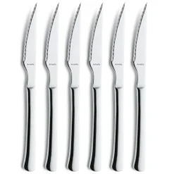 Amefa Steakmes Chuletero (6-delig) New