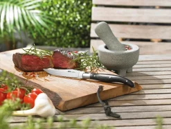 Steakmes Gefu Basco (4-Delig)