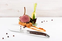 Steakmes Laguiole Style de Vie Premium Line Dark Wood ABS (6-Delig)