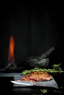 Steakmes Laguiole Style de Vie Innovation Line Grijs Pakka (6-Delig)