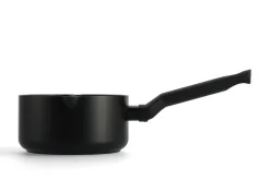 BK Steelpan Easy Induction 16 cm Online