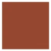 Theedoek DDDDD Logo Terra (Set van 6) FW24