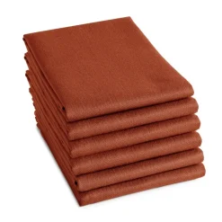 Theedoek DDDDD Logo Terra (Set van 6) FW24