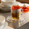 Bodum Theeglas Yoyo Met Filter Oranje 350 ml Clearance