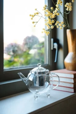 Theepot Bredemeijer Bella Ronde Transparant 0,5 L