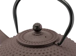 Bredemeijer Theepot Xilin Gietijzer Aubergine 1,25L Discount