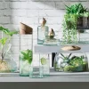 Tumbler L.S.A. Canopy 270 ml (4-Delig)