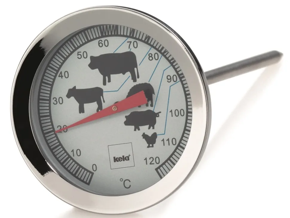Vleesthermometer Kela Punkto Zilver