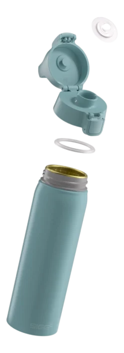 Waterfles Sigg WMB One Morning-Blue 0,75L