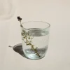 Serax Waterglas S Pure Transparent 200 ml Outlet