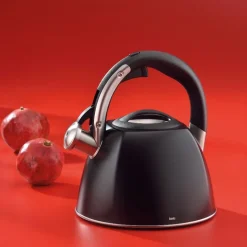 Waterkoker Kela Vitus Zilver 2,4 L