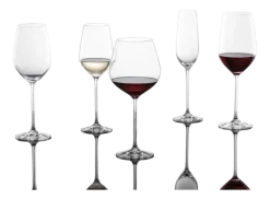 Schott Zwiesel Water- / Rode Wijnglas Fortissimo 505 ml (Set van 4) Online