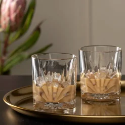 Whiskyglas Met Koelstenen Leonardo DOF Capri 330 ml (Set van 2)