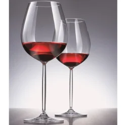 Wijnglas Bourgogne Schott Zwiesel Diva (6-delig)