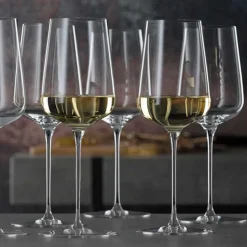 Wijnglas Spiegelau Definition 430 ml (2-Delig)
