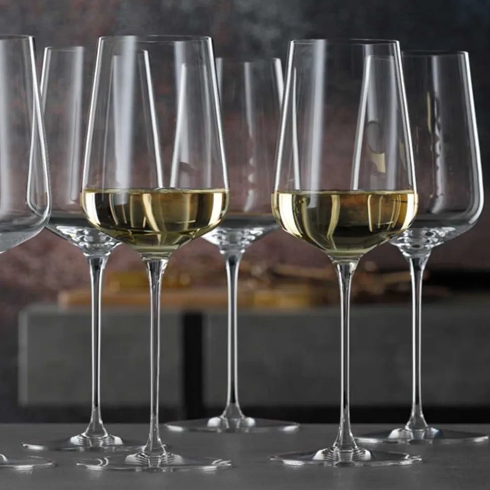 Wijnglas Spiegelau Definition 430 ml (2-Delig)
