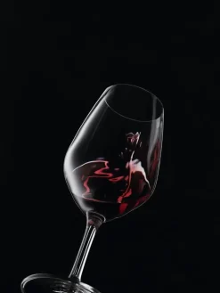 Wijnglas Spiegelau Proeverijkit 260 ml (Set van 6)