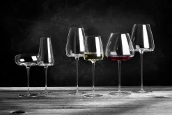 Wijnglas Zieher Vision Rich 280 ml (2-Delig)