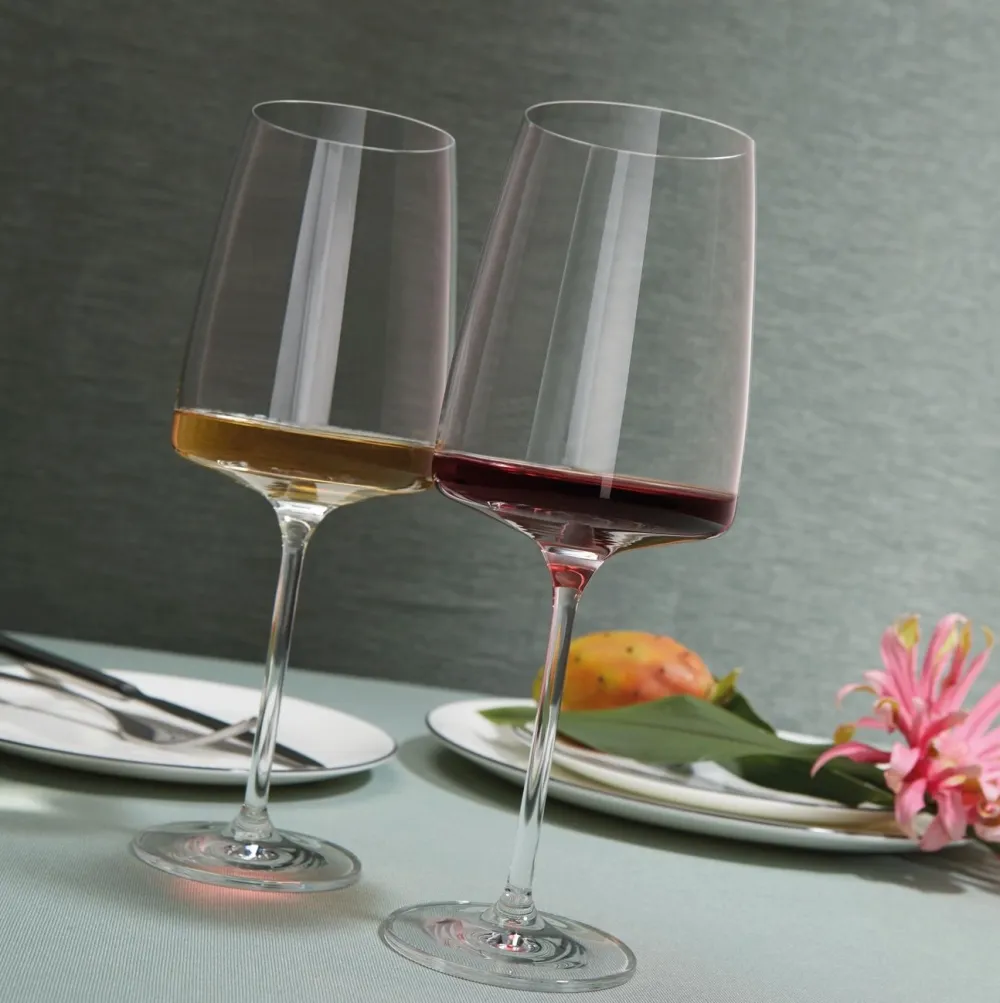 Zwiesel Glas Wijnglas Vivid Senses Flavour & Spicy 660 ml (2-delig) New