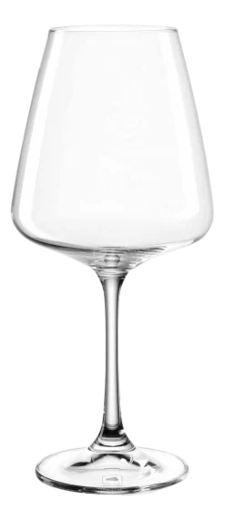 Witte Wijnglas Leonardo Paladino 540 ml (Set van 6)