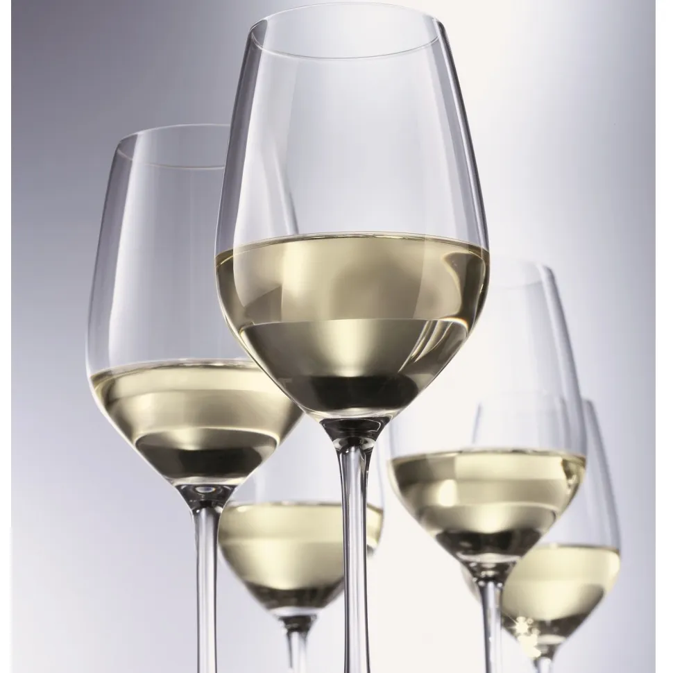 Witte Wijnglas Schott Zwiesel Viña (6-delig)