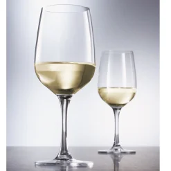 Schott Zwiesel Witte Wijnglas Congresso (6-delig) Best