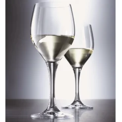 Schott Zwiesel Witte Wijnglas Mondial (6-delig) Best