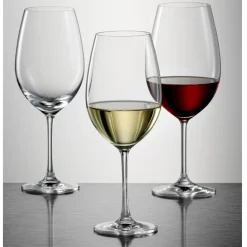 Schott Zwiesel Witte Wijnglas Ivento (6-delig) Best