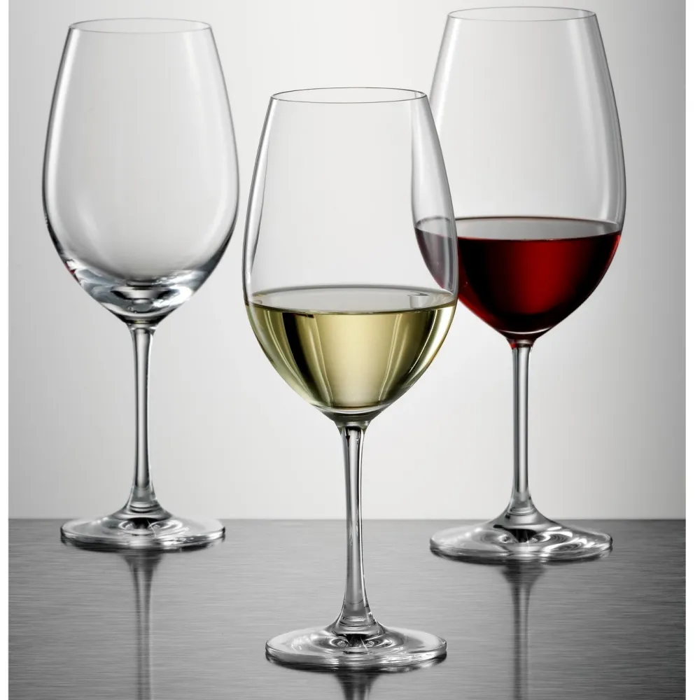 Schott Zwiesel Witte Wijnglas Ivento (6-delig) Best