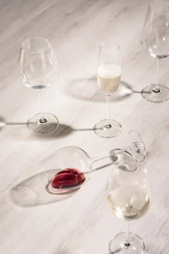 Schott Zwiesel Witte Wijnglas Vinos 460 ml (Set van 4) Hot