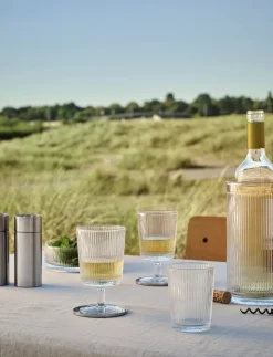 Zoutmolen Stelton Arne Jacobsen Steel